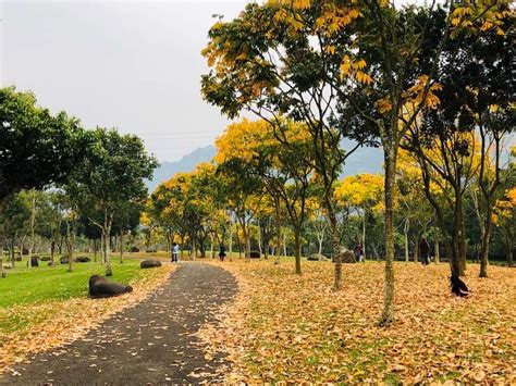 無患子目|無患子－參山國家風景區管理處